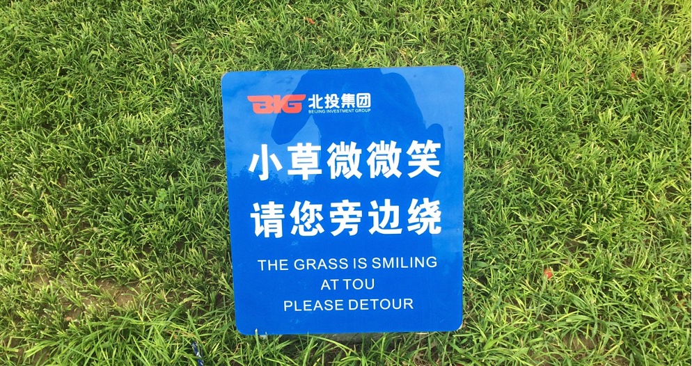 ruimer luisteren grasfoto.jpg